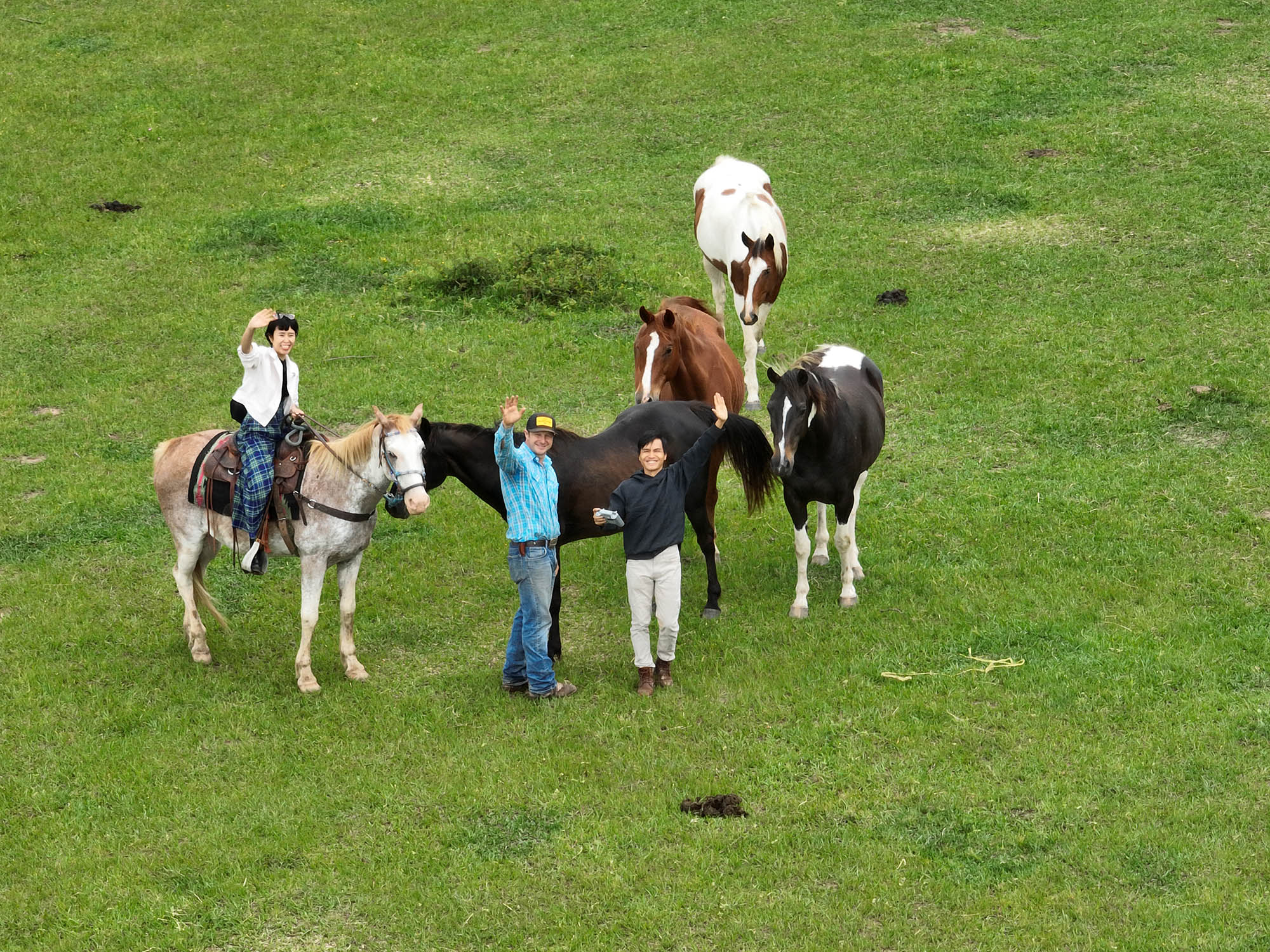 thiên nhiên cowboy chính hiệu